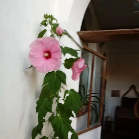 Bettola לינה וארוחת בוקר